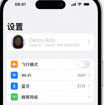 德城appleID维修服务iPhone设置中Apple ID显示为灰色无法使用 