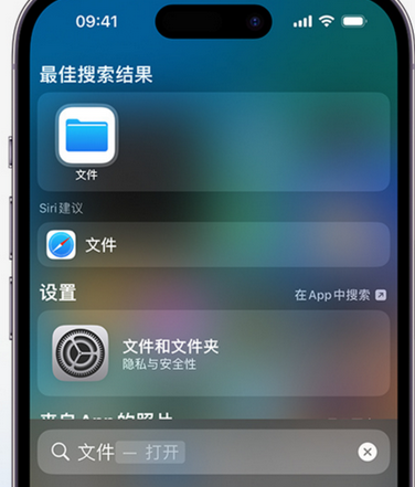 德城apple维修中心分享iPhone文件应用中存储和找到下载文件 