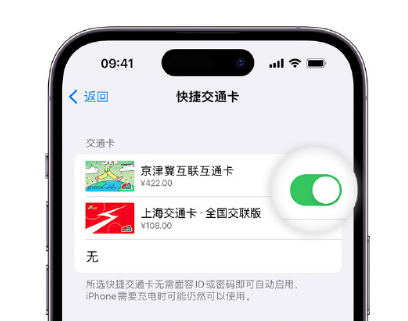 德城apple维修点分享iPhone上更换Apple Pay快捷交通卡手绘卡面 