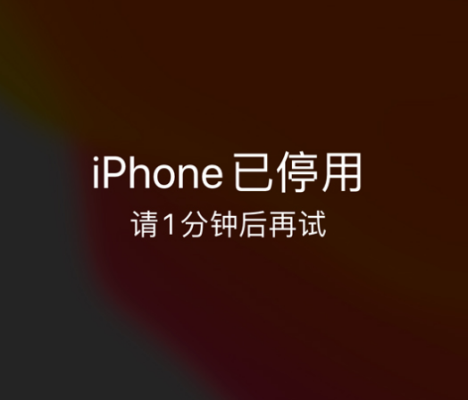 德城苹果手机维修分享:iPhone 显示“不可用”或“已停用”怎么办？还能保留数据吗？ 