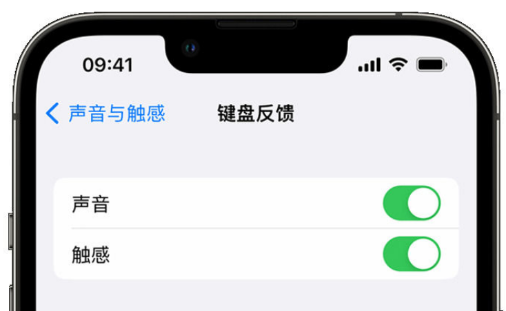 德城苹果手机维修分享iPhone 14触感键盘使用方法 