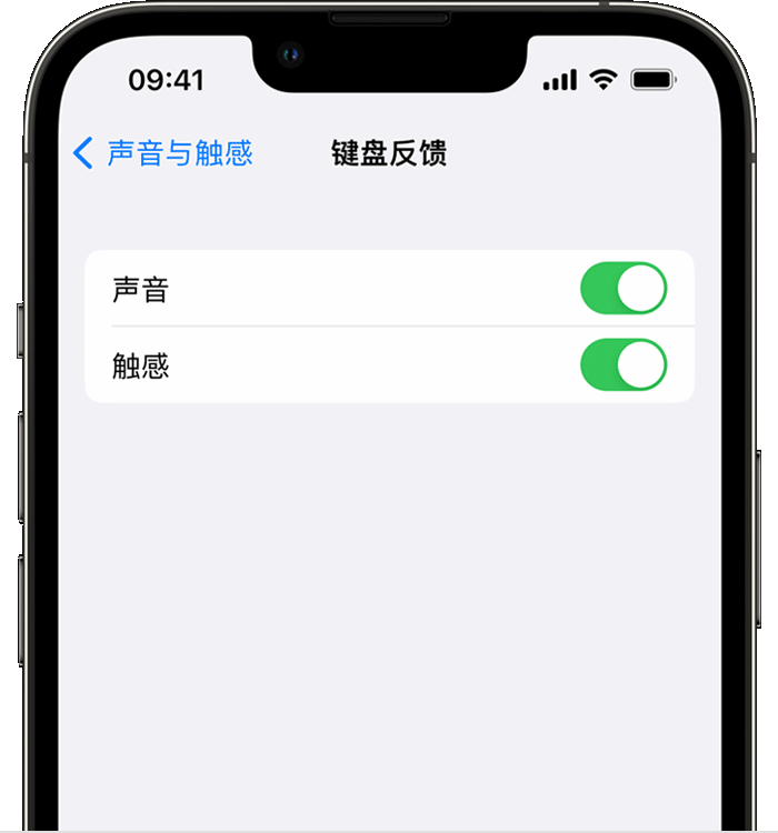 德城苹果14维修店分享如何在 iPhone 14 机型中使用触感键盘 