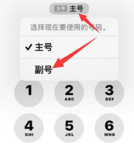 德城苹果14维修店分享iPhone 14 Pro Max使用副卡打电话的方法 