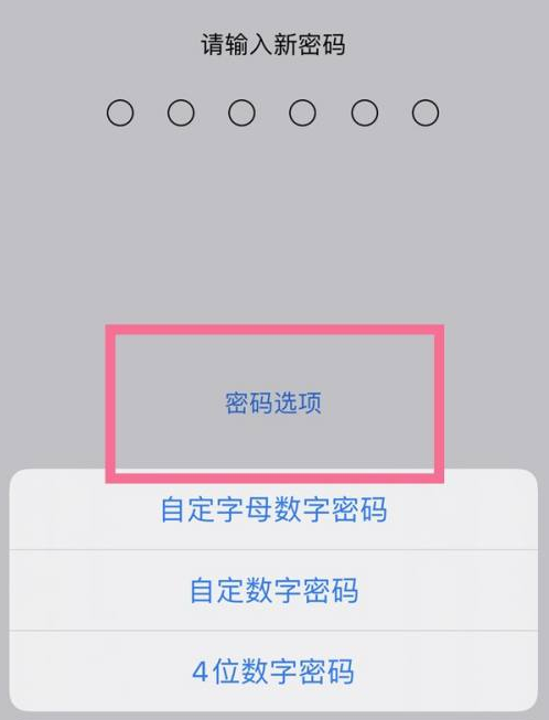 德城苹果14维修分享iPhone 14plus设置密码的方法 