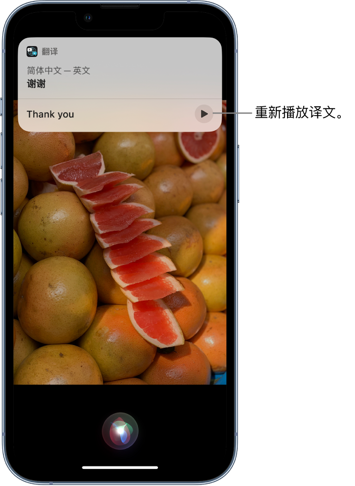 德城苹果14维修分享 iPhone 14 机型中使用 Siri：了解 Siri 能帮你做什么 