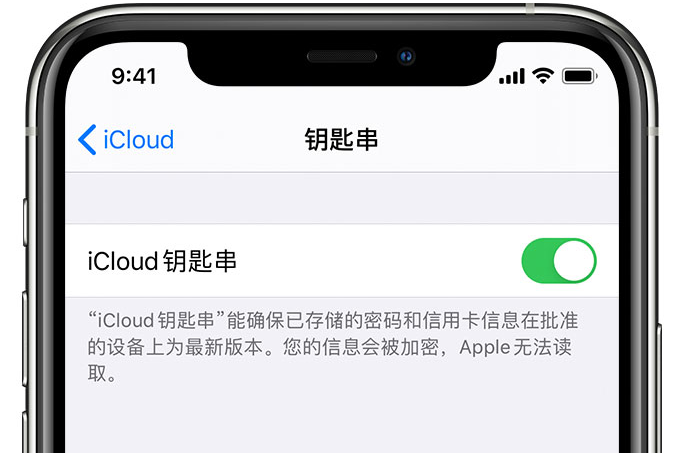 德城苹果手机维修分享在 iPhone 上开启 iCloud 钥匙串之后会储存哪些信息 