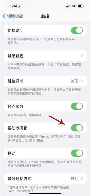 德城苹果手机维修分享iPhone手机如何设置摇一摇删除文字 